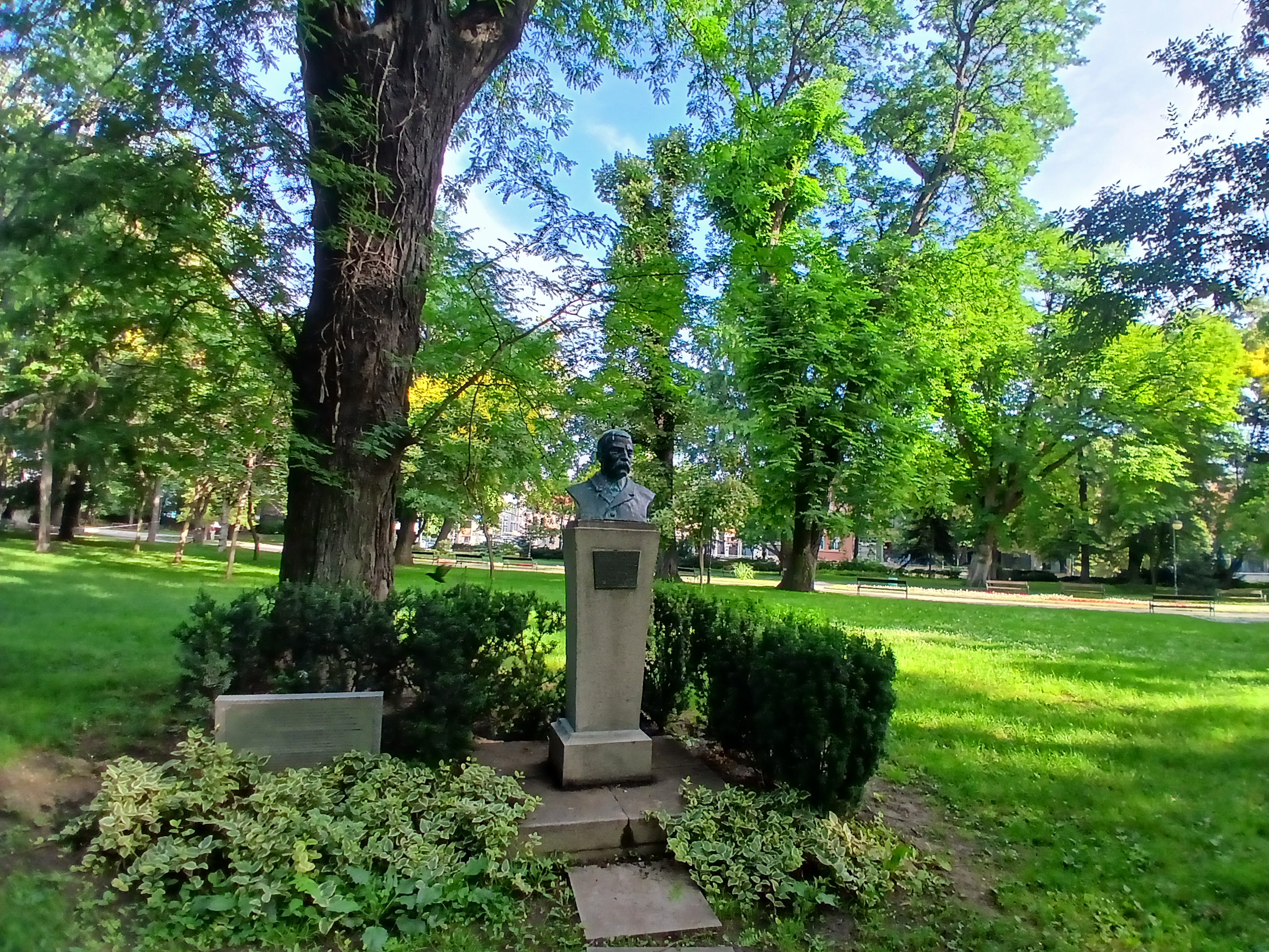 Walking paths