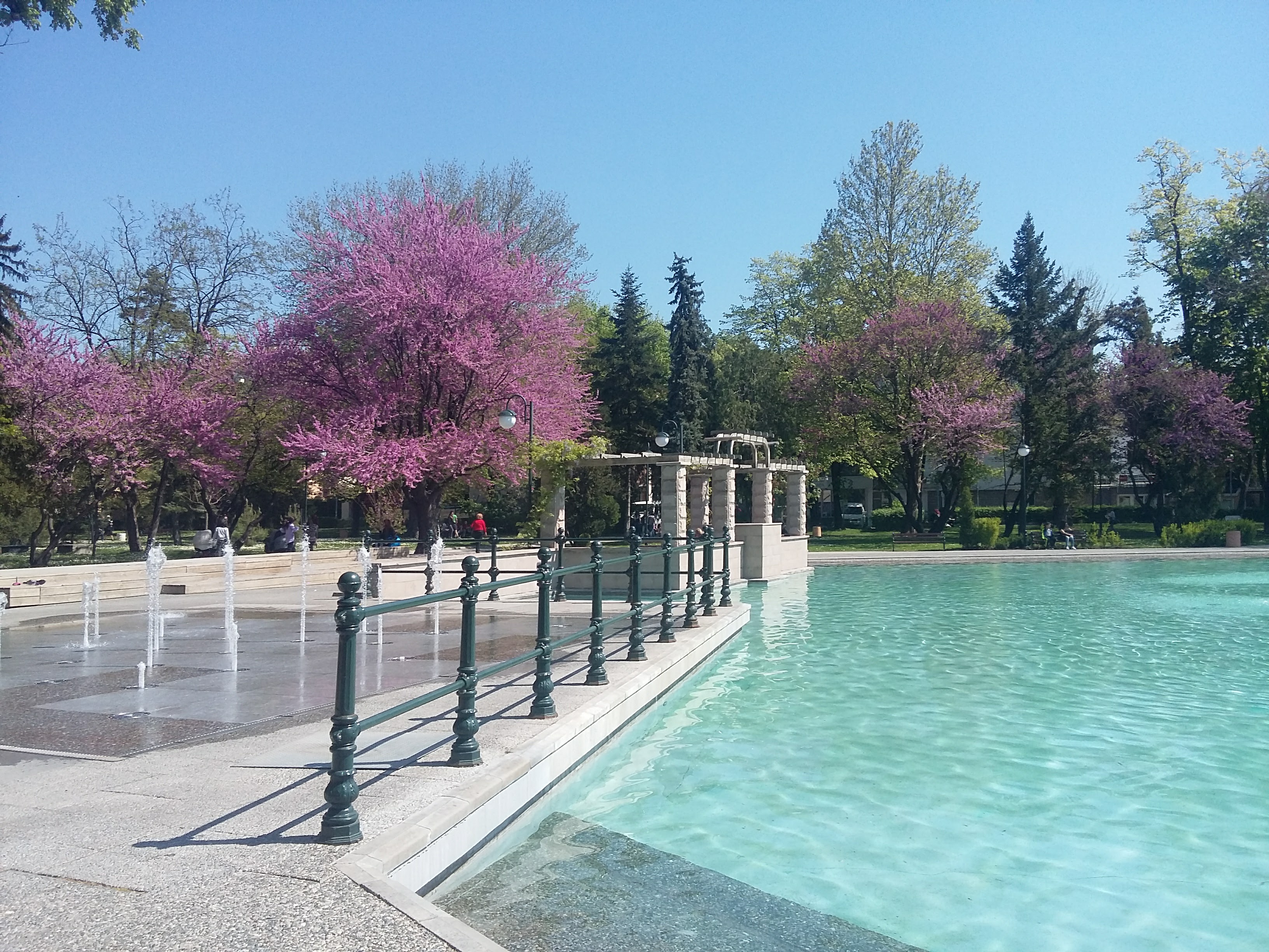 Panoramic view