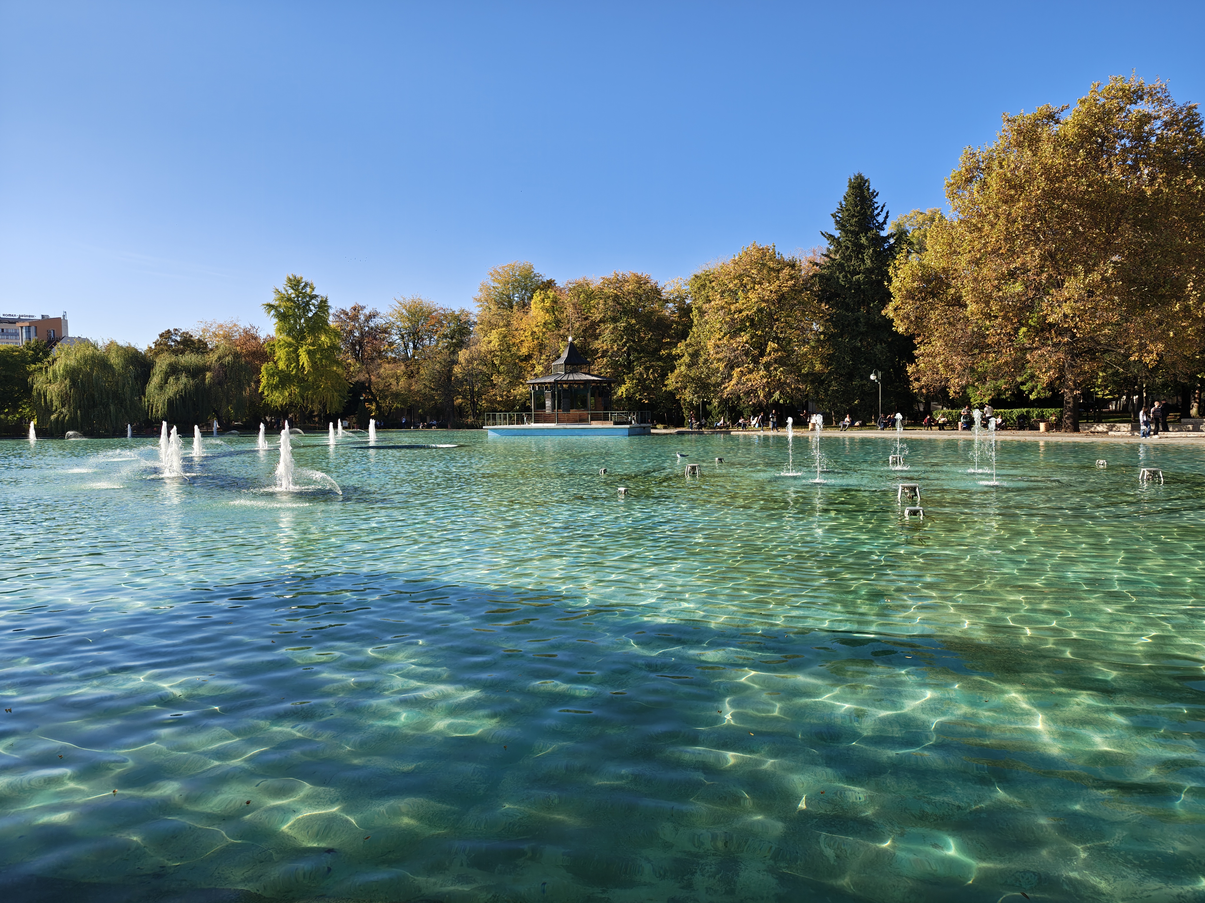 Decorative ponds